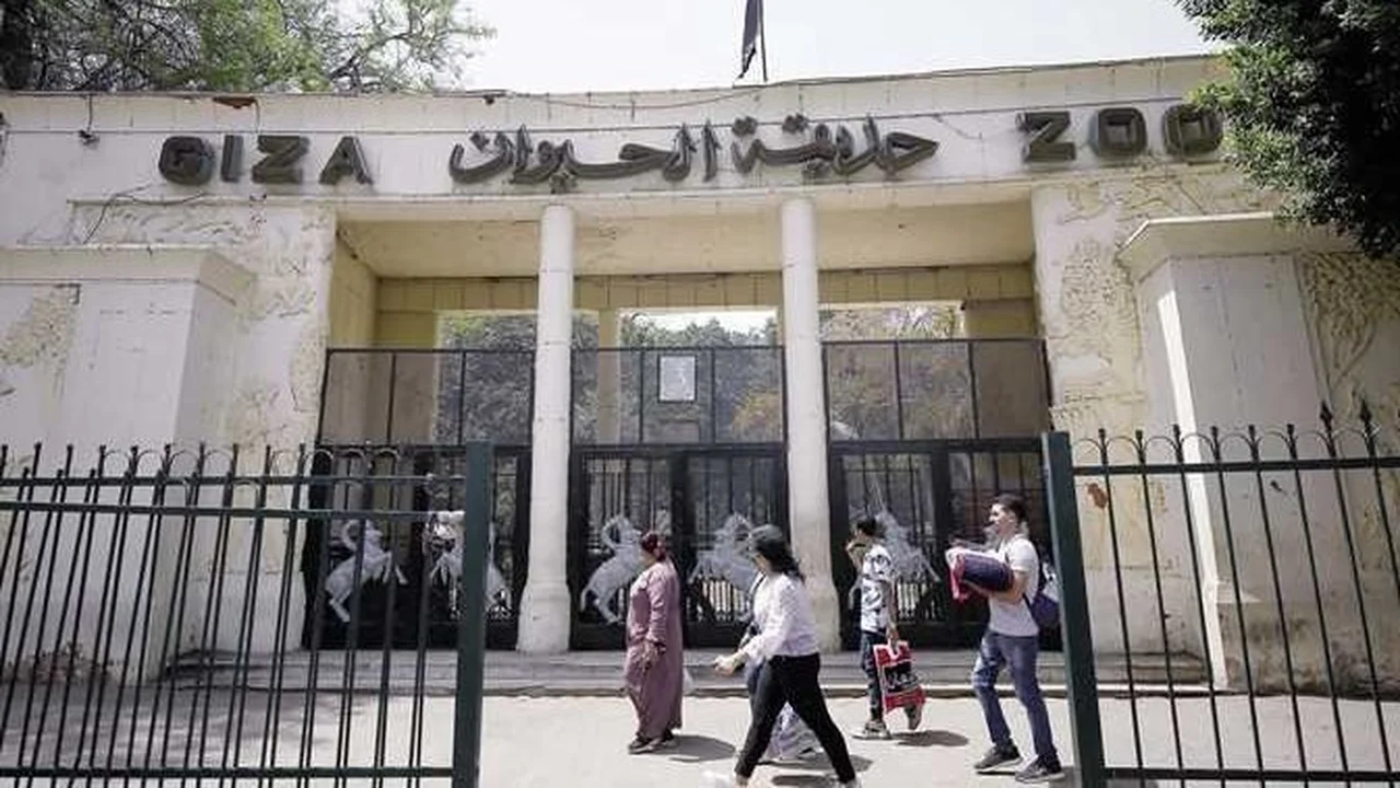 افتتاح حديقة الحيوان بالجيزة 2025 بعد ربطها بالأورمان وتحديد أسعار التذاكر